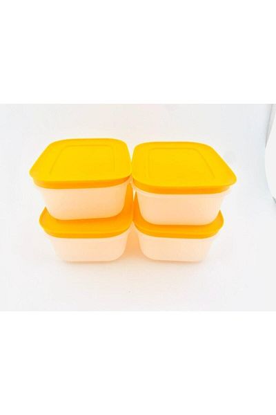 Tupperware Alaska 4-Piece 450 Ml Storage Container