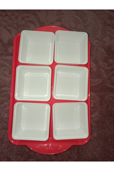 HANK TİCARET Pomegranate Flower Colored Plastic Tray with Plastic Lid and 6 Breakfast Plates