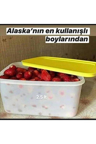 Tupperware Alaska Buzdolabı Saklama Kabı ( 3 X 2.5 Lt )
