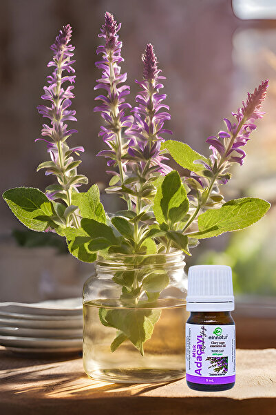 EinNatur زيت سالفيا سكلاريا العطري - زيت كلاري سيج الأساسي، 5 مل، نقي 100%