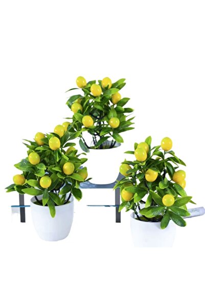 RUZGARCİCEK زراعة الزهور الاصطناعية من الرياح 3 ليمون في أواني بلاستيكية بيضاء