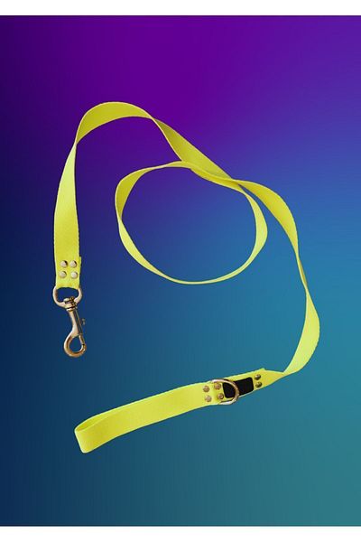 Oli and Lui Neon Paw Green Dog Walking Strap