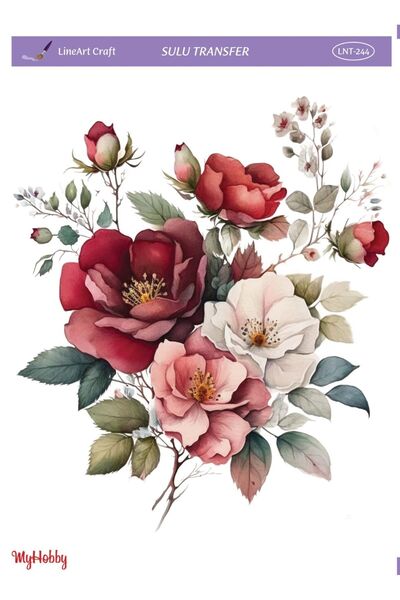 Genel Markalar Lineart Sulu Transfer LNT244 25x35cm