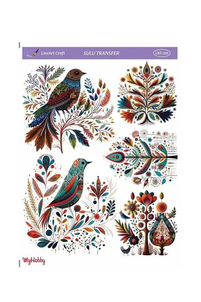 LİNEART Lineart Sulu Transfer LNT209 25x35cm