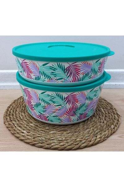 Tupperware Delux Storage and Service Box