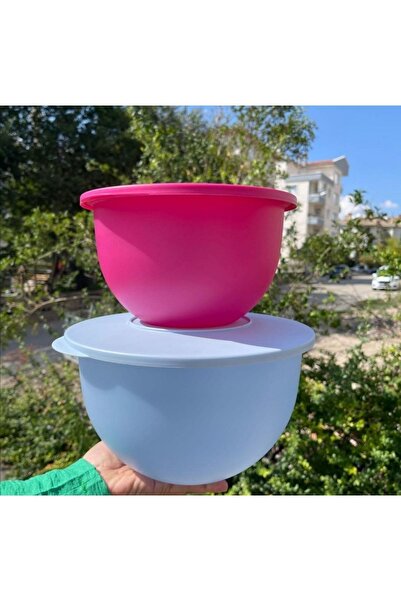 Tupperware 4.3 Lt and 2.5 Lt Ecobiles