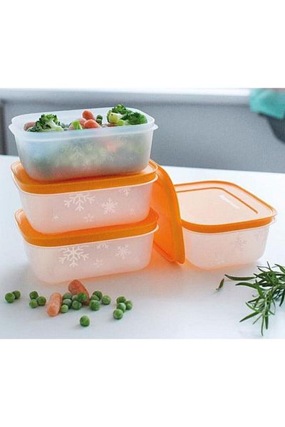 Tupperware Alaska 4-Piece Storage Door Set (450ML)