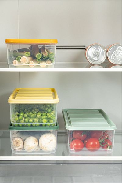 Vienev Bella Refrigerator Organizer with 4 Colorful Doors 1.65 Liters