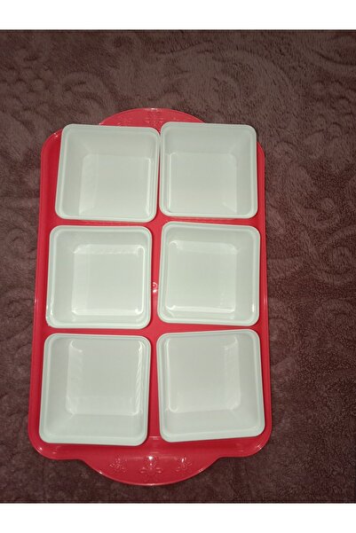 HANK TİCARET Pomegranate Flower Colored Plastic Tray with Plastic Lid and 6 Breakfast Plates