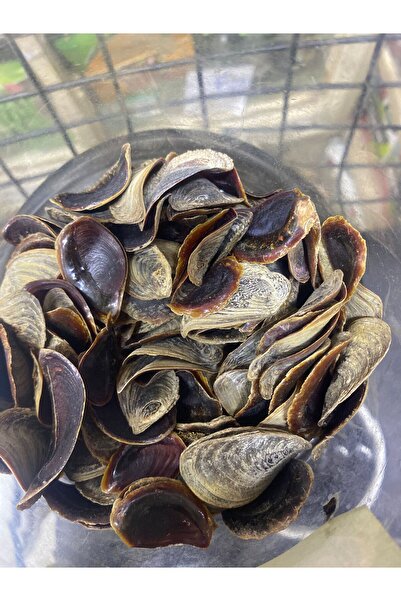 Aselife Cin tırnağı 5adet