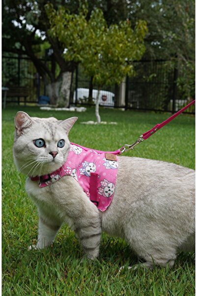 Patipatron Kaçış Önleyici Kedi Gezdirme Tasması Ve Küçük Irk Köpek Gezdirme Tasması