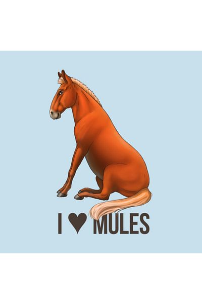 Pixxa Mule - I Heart Mules Mug Cup