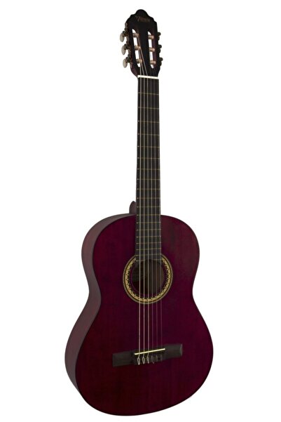 VALENCIA Vc204twr 4/4 Şeffaf Şarap Kırmızı Mat Klasik Gitar
