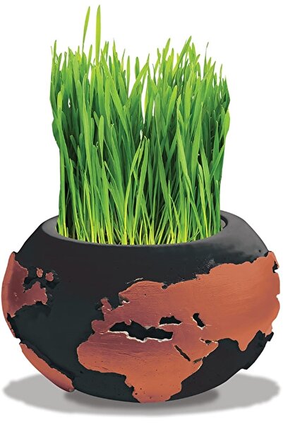 Süs ağacı Çimli Beton Saksı Boyama Seti Dünya Model Saksı -dıy Kendin Boya Çi...