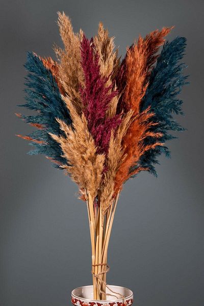 BHM Store Διακοσμητικό προϊόν Pampas Flower Home-Place of Work -- 10 Πολύχρωμες Παμπάς