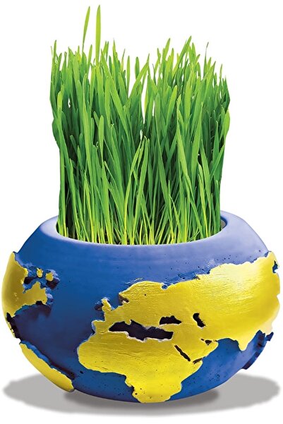 Süs ağacı Çimli Beton Saksı Boyama Seti Dünya Model Saksı - Dıy Kendin Boya Ç...