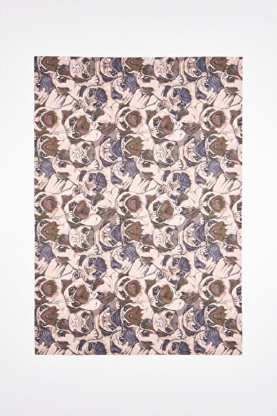 ASTERION Evcil Hayvan Havlu/çok Emici Örtü