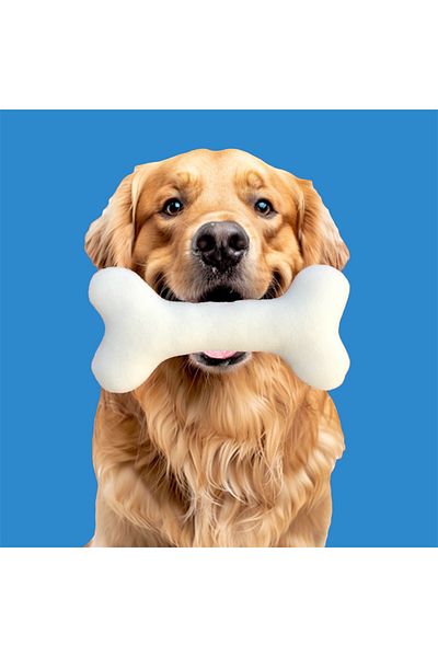 UgurToyss Plush Dog Bone Toy - Fiber Filled, Height 24 cm Width 12 cm