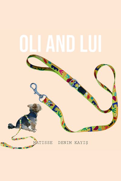 Oli and Lui Matisse Patterned Dog Walking Strap