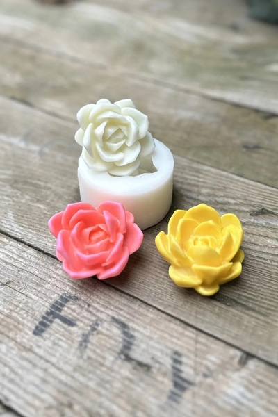 Laui Succulent Candle Mold