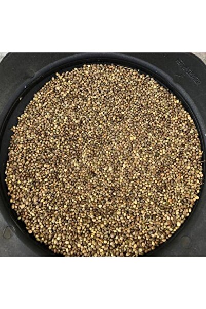 GAKGOŞ YEM Kenevir Tohumu Kızıştırıcı 500 Gr.