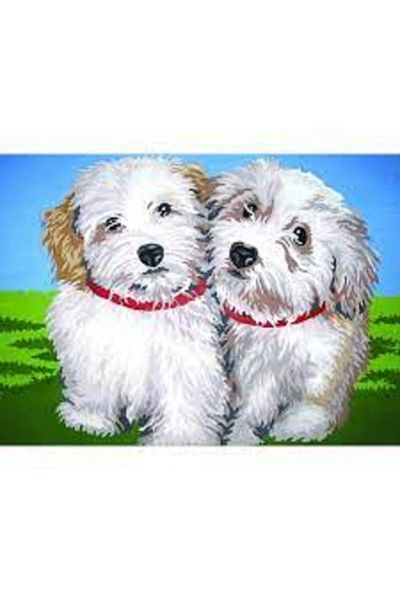 LİLYHOBBYLAND Printed Tapestry Set Collection D'art 40x50 Cm (With Processing Threads)