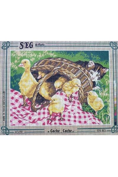 LİLYHOBBYLAND Printed Tapestry Set (With Processing Threads) Seg 40x50 Cm