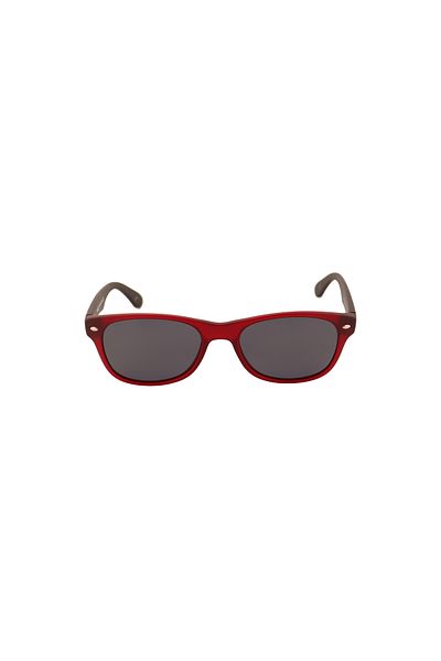 Swing SWING SUNGLASSES - Model Sw134g C049M 50/19