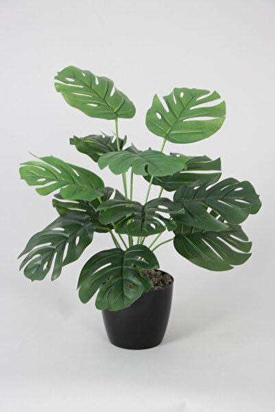Yapay Çiçek Deposu Yapay Devetabanı(monstera) Bitkisi Siyah Saksıda 45 cm
