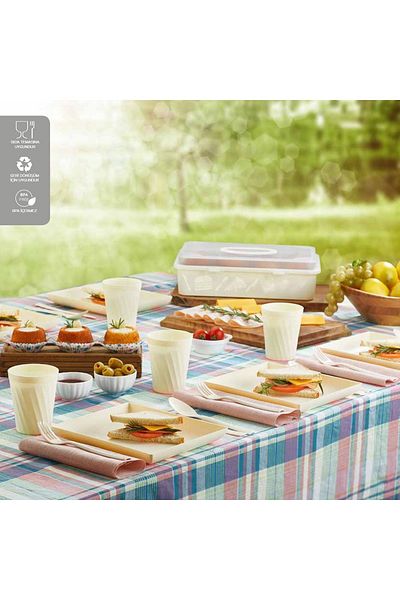 DEMPA Practical 32 Piece Health Plastic Picnic Set