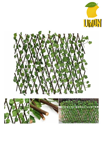 DDPEST Hadera Yapraklı Gerçek Ağaç Dalı Açılır Kapanır Akordiyon Sarmaşık Çit...