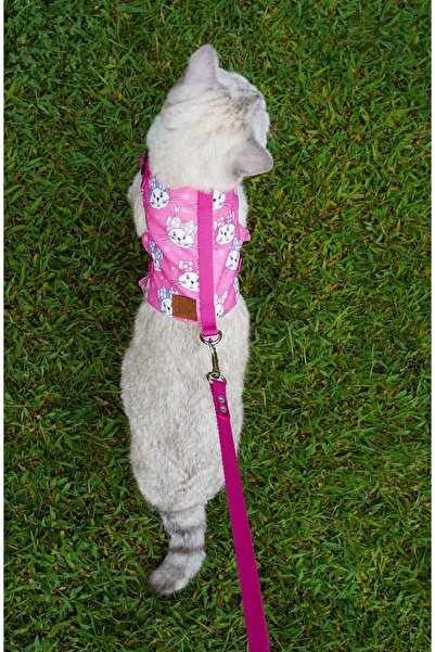 Patipatron Kaçış Önleyici Kedi Gezdirme Tasması Ve Küçük Irk Köpek Gezdirme Tasması