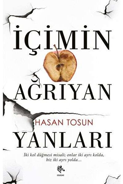 Zebra Yayınları İçimin Ağrıyan Yanları