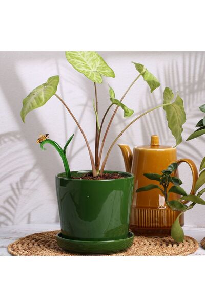 ADAMODART Arı Cam Figürlü Saksı Dibi Süsü