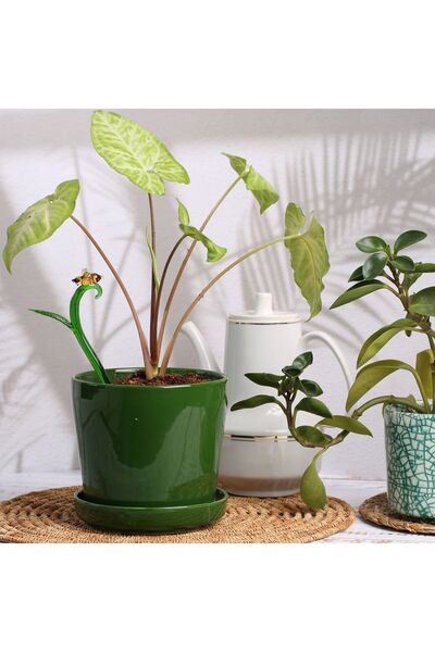 ADAMODART Arı Cam Figürlü Saksı Dibi Süsü