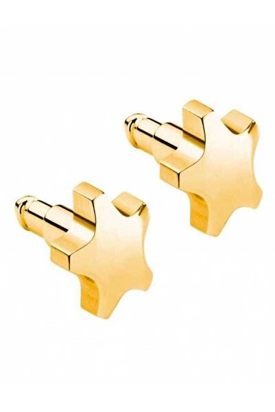 nina Gold Star Yıldız Kulak Delme Küpesi 1 çift