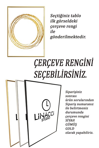 Linacci Üçlü Siyah İnce Metal Çerçeveli Modern Mimari Poster Cam Tablo Seti