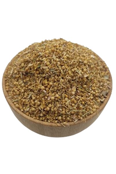 Bakkal Hasan İkşut (Küsküt) Kökü 250 gr - Bakkal Hasan