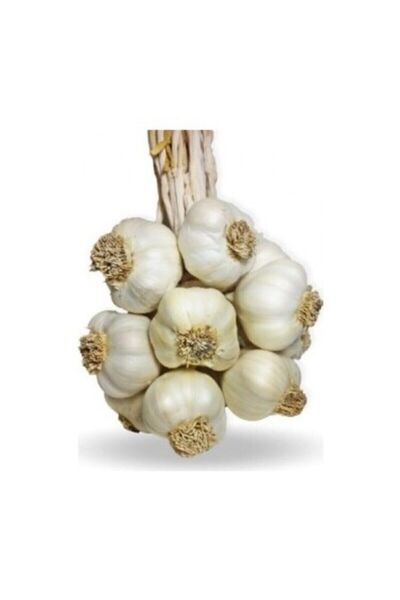 naturalköyürünleri Taşköprü Sarımsak 500 gr