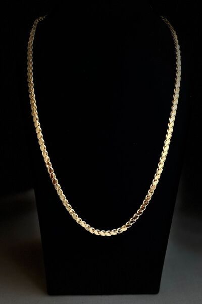 MODA Caprea Arpa Zincir Kolye Kolye Altın Renkli 60 cm Kararmaz Kolye