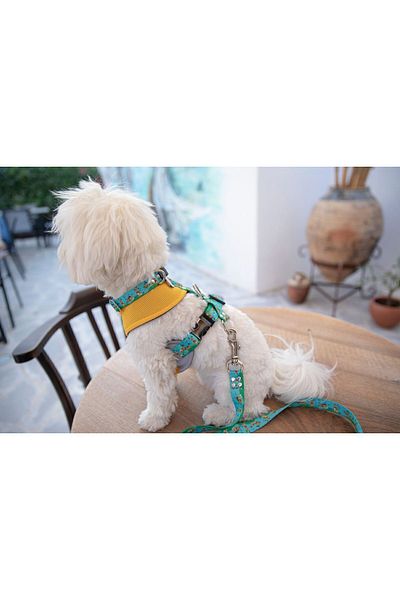 Oli and Lui Happy Dog Dog Collar - Comfortable and Stylish Design