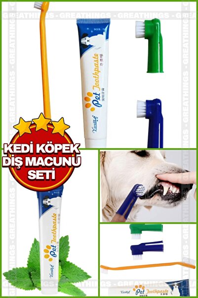 Greathings Kedi Köpek Diş Fırçası ve Diş Macunu Seti Yenilebilir Diş Macunu Dental Kit Ağız ve Diş Sağlık Seti