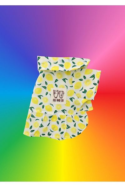 Oli and Lui Lemon Patterned Dog Dress