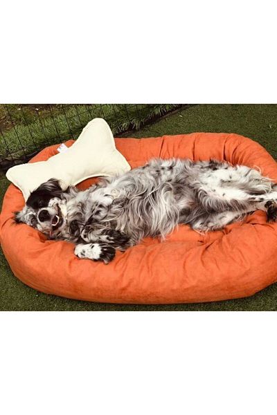 Patili Evler Orange Large Size Dog Bed - 70x90 Cm - Indoor - Large -
