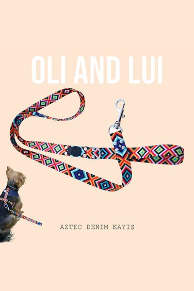 Oli and Lui حزام مشي للكلاب الأزتيكية - تصميم مريح وأنيق