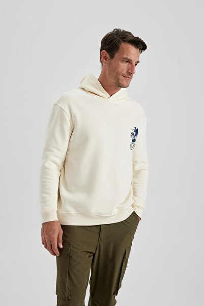 DeFacto Discovery Channel Hooded Oversize Sweatshirt - A5354ax23au