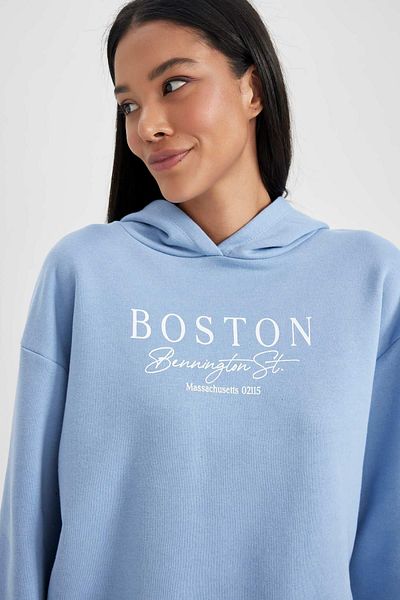 DeFacto Comfortable Cut Hooded Sweatshirt - B3849ax23au