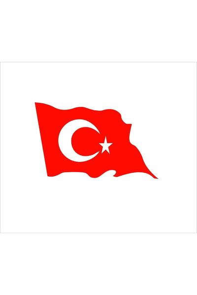 SEÇ Dalgalı Türk bayrağı Yeni Sticker Çok Amaçlı Etiket Sticker