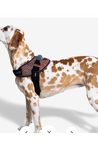 Zee.Dog Vorte FlyHarness Göğüs Tasması - Zee.Dog