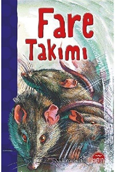 Martı Yayınları Fare Takımı
